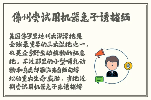 三级黄色录像玩**